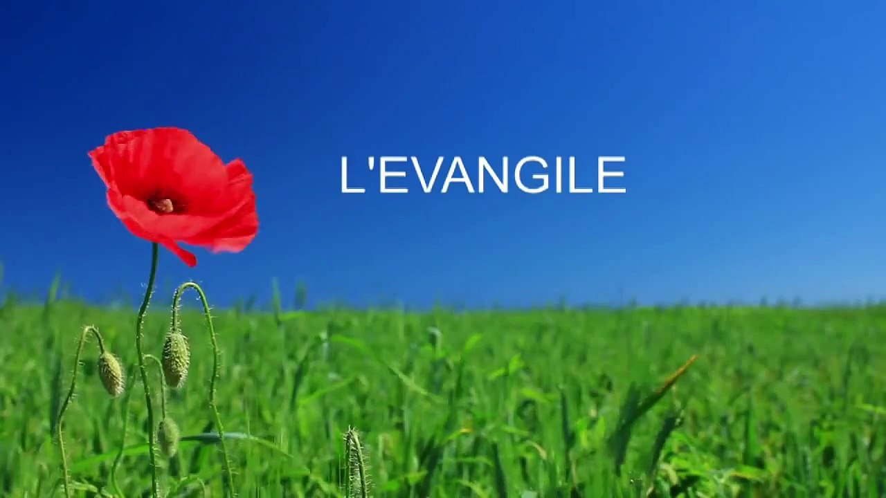 Église Évangélique Vie Nouvelle Télévision