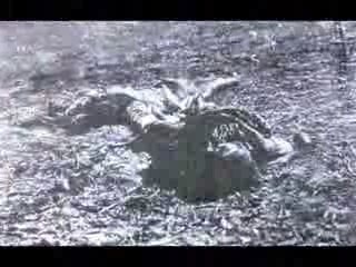 armenien killed thousends of innocent