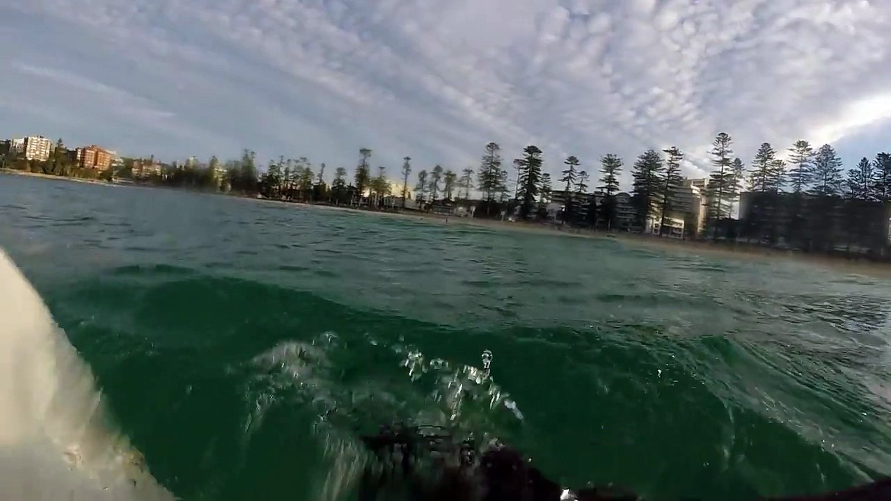Big great white Shark does circles around surfer guy!