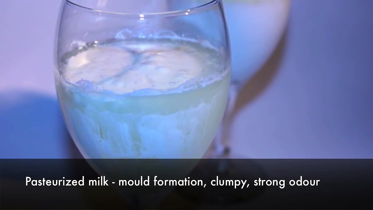 Raw milk vs Pasteurized milk