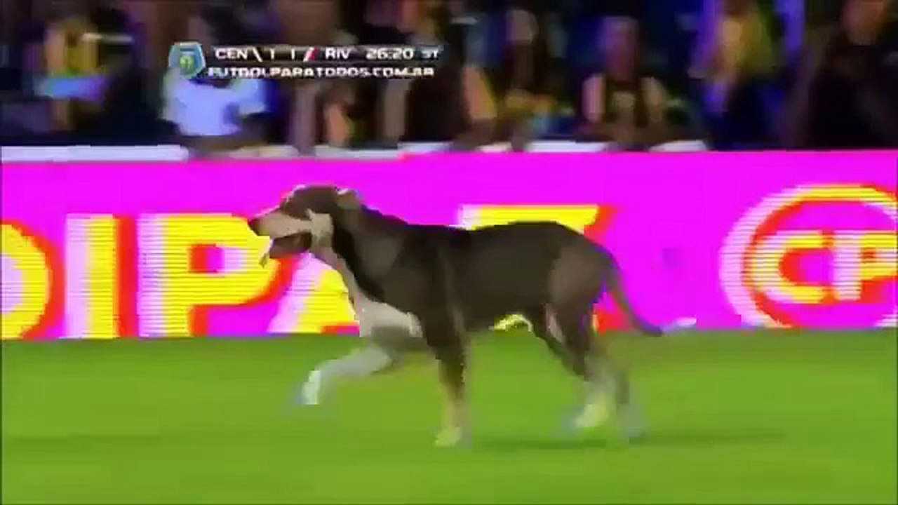 Thug Life - Dog Poop!