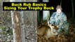 Buck Rubs & Sizing Up A Trophy Buck - Deer Hunting 101