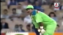 Angriest cricketer ever - Javed Miandad HD-\\\\\\\\\\\\\\\\