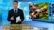 Football's future in China - China Price Watch - November 15, 2013 - BONTV China