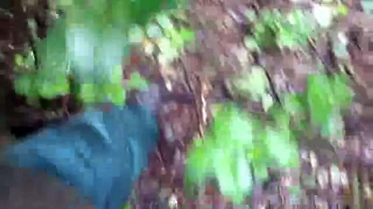 Alone (trailer)