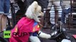 USA: This super-cute dog dressed as Superman will melt your heart