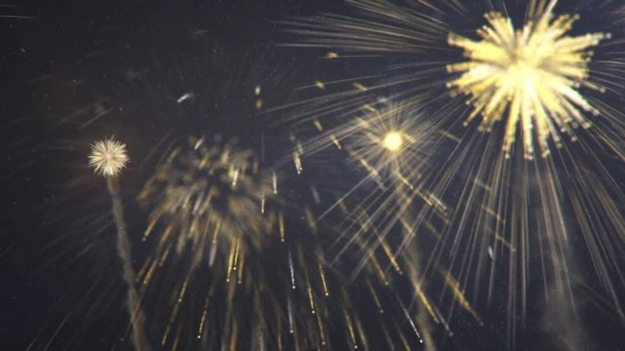 What's Inside - Fireworks