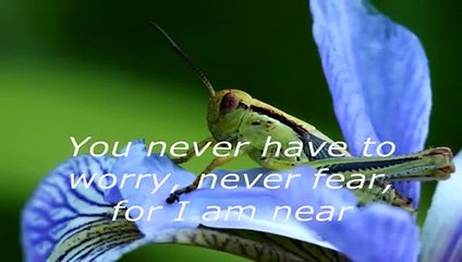 You're my everything - Santa Esmeralda