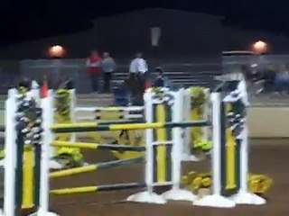 Grand Prix show jumping in a hackamore