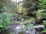 Flowing Mountain Stream Morning Meditative Relaxation Video - Live Unedited Nature Sounds (no music)