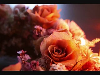 ゴッドファーザー　愛のテーマ --Harmonica