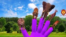 Animals Finger Family Rhymes | Cartoon Animals Finger Family Nursery Rhymes