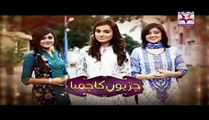 Chirryon Ka Chamba Episode 43 - 24 June 2015 - Hum Sitarey