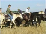 Rhino's surprise and scares horse riders. See how they run!