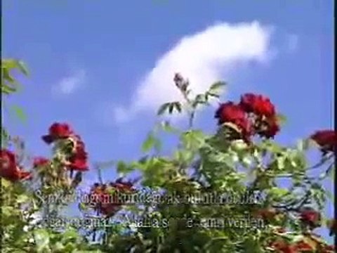 Mehmet Emin Ay - O Gece Sendin Gelen