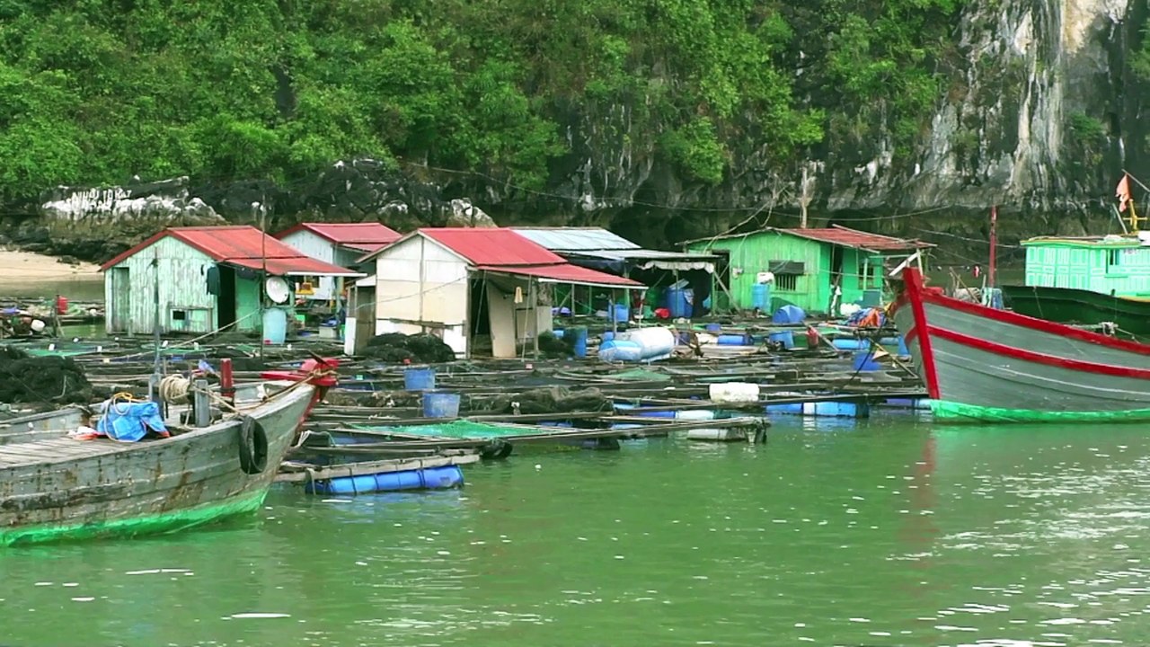 Trailer Vietnam Mai 2015