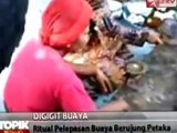 [NGERI] Kronologi Buaya Terkam Pawang Saat Ritual Pelepasan Buaya Di Sulawesi