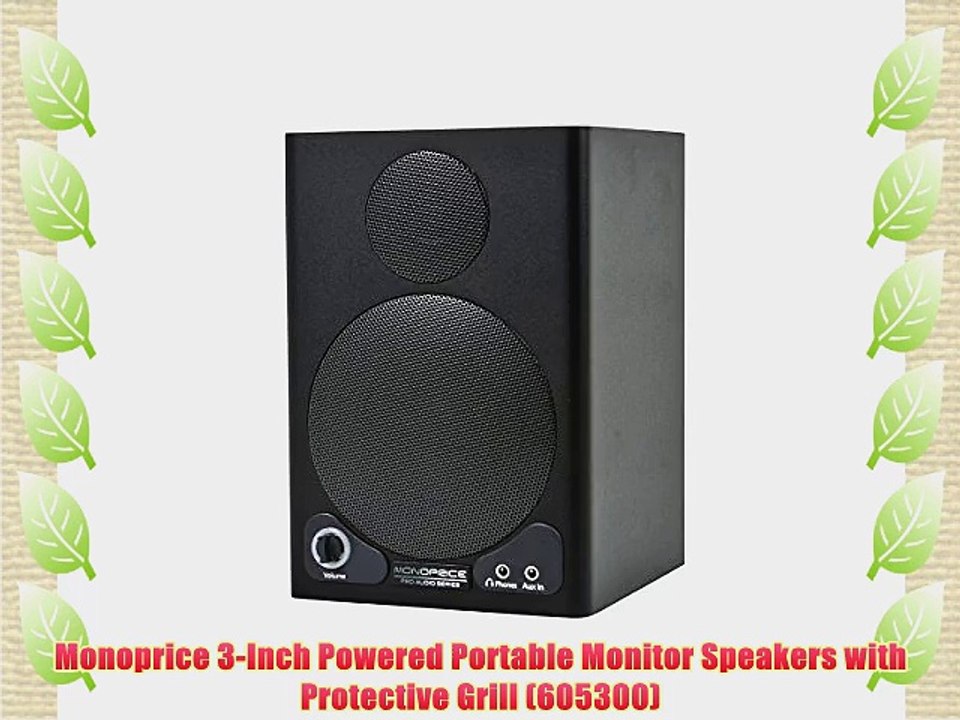 portable monitor speakers