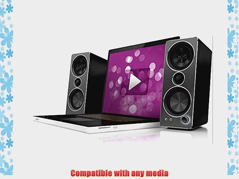 Philips SPA8210/37 Multimedia Speakers 2.0 (Black)