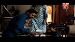 Alvida Last Episode 20 on Hum Tv in High Quality 24th June 2015 - DramasOnline