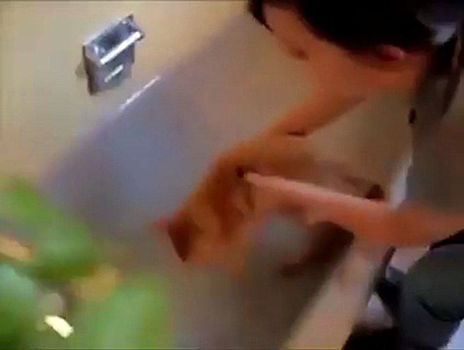 cat bath