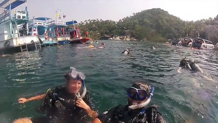 Les Spuds à Koh Tao