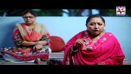 Chirryon Ka Chamba Episode 42 Full Hum Sitaray Drama June 23, 2015