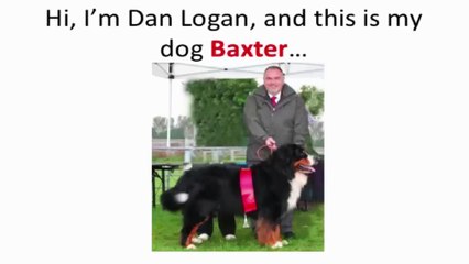 The Pet Longevity Secret Review