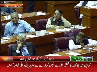 Rashid Godil’s speech in National Assembly 24-June-2015 full speech