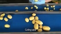 WWW.ITFOODONLINE.COM - Potato peeling line, potato peeler processing machine