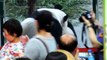 2014-07-13 圓仔與圓麻玩耍(The Giant Panda Yuan Yuan with Yuan Zai)