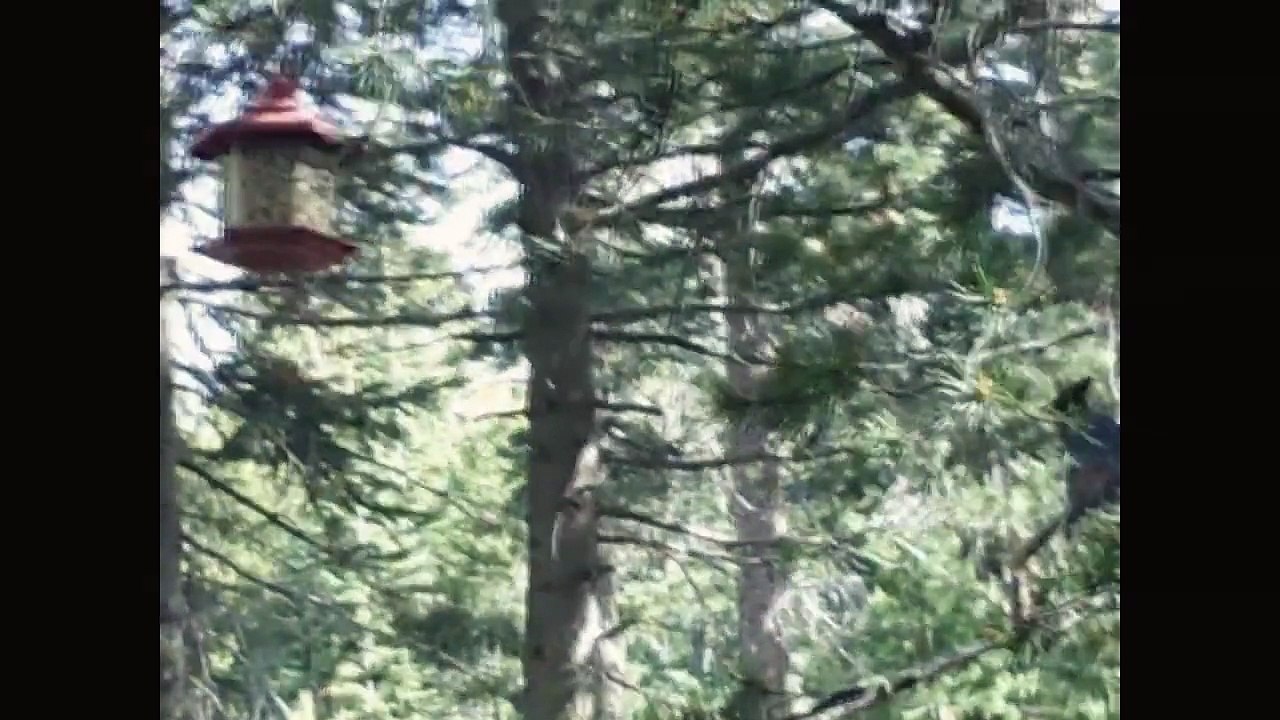 My Camping Trip