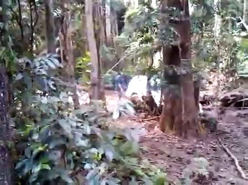 Toyota Prado 4x4 watagans gettin stuck in the mud