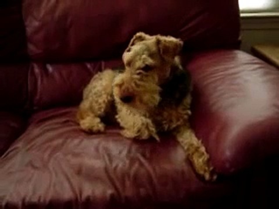 Nevsky Sings CSI-Las Vegas