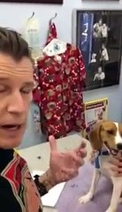 Doc Pawsitive Discusses Hypocalcemia, Low Blood Calcium, in a Dog