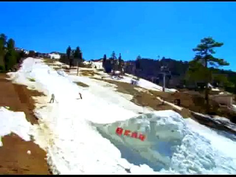 snowboard burton custom x