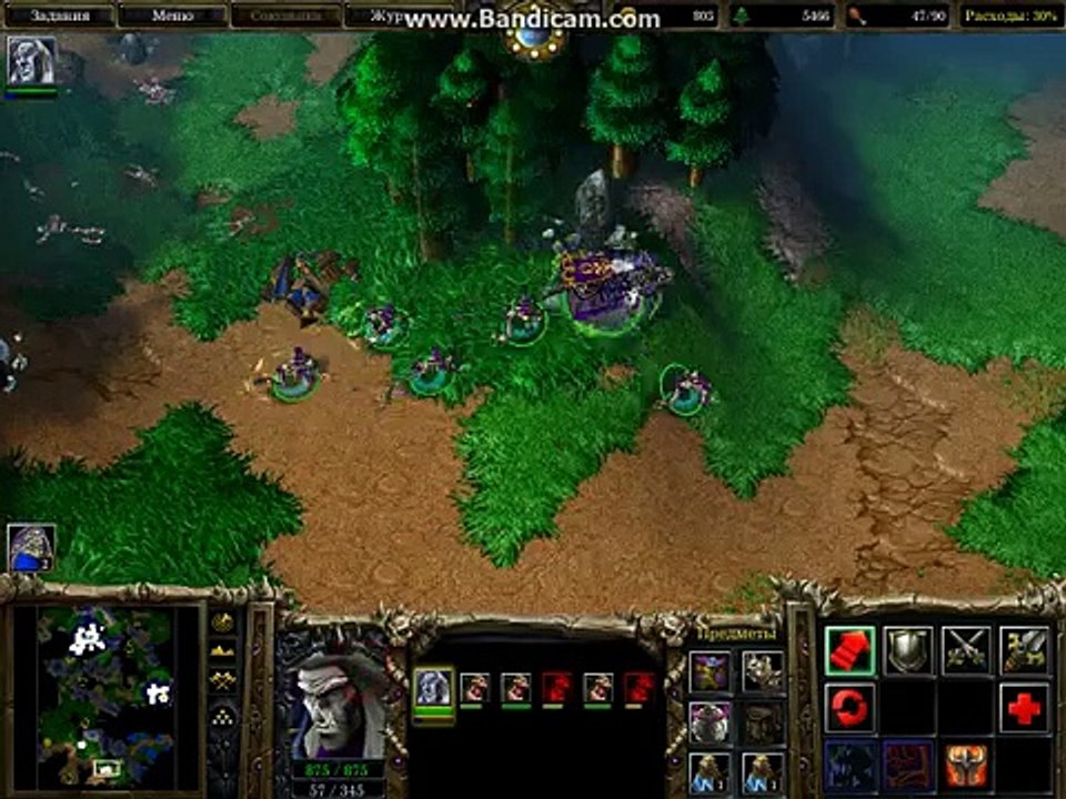 № 3 Warcraft III Королевство Эльфов пятая часть