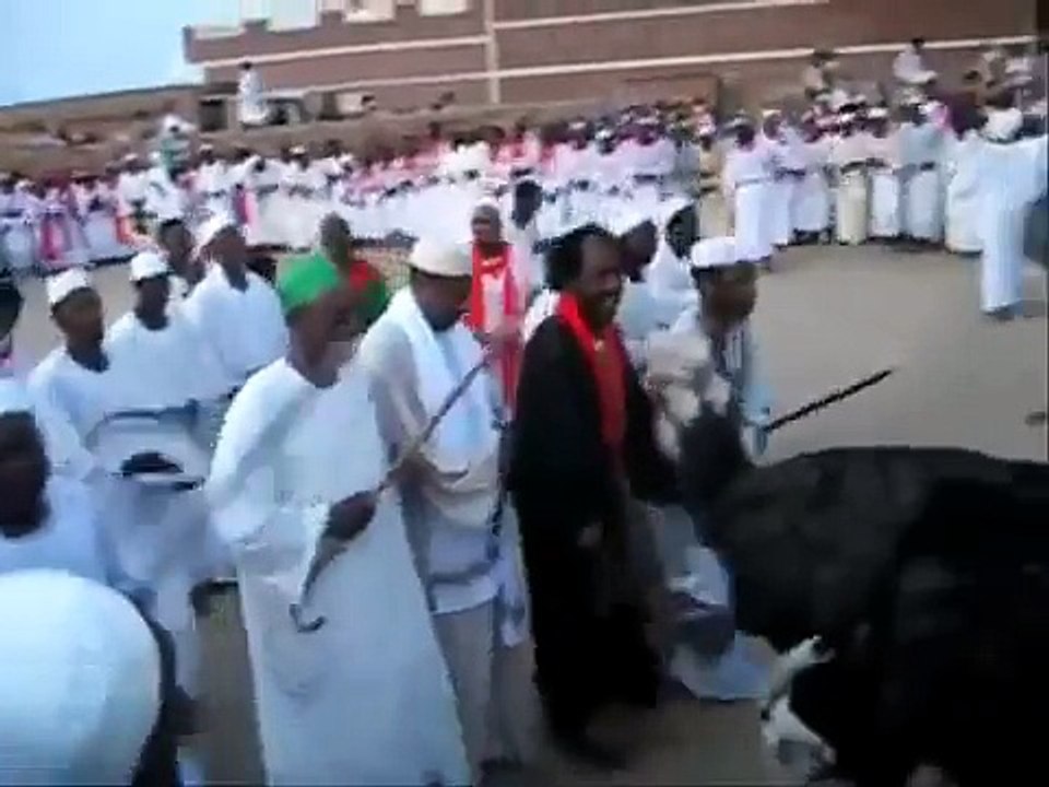النعامة الصوفية _ أضحك من قلبك على الصوفية