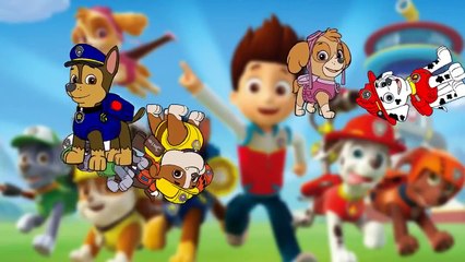 paw patrol cartoon Song Wheels on the Bus paw patron the Bus Song with lyrics Rhl English