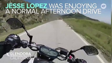 Motorcyclist Survives Head-On Collision With Firetruck