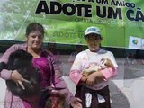 I Feira de Adoção de Animais- Ilha de Santa Maria-CADEP-CN e CAMAC de Vila do Porto