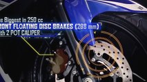 Review Yamaha R25 (Revs the Engine Hear it Roars Feel the Power YZF R25)