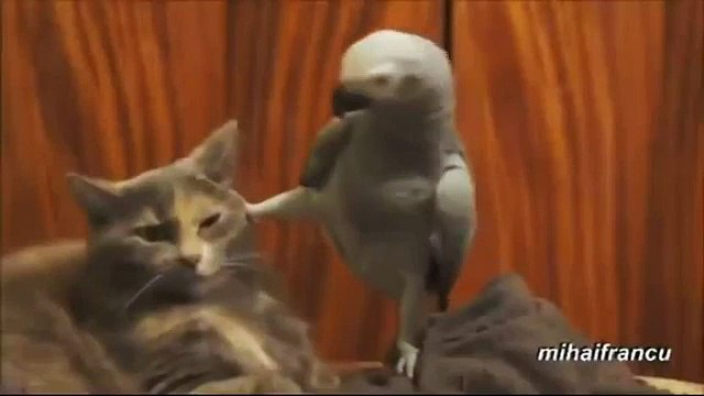 Хочешь знать, почему я использую нож?