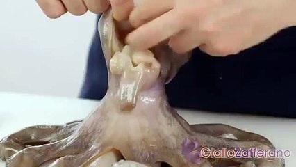 How to clean octopus   cooking tutorial