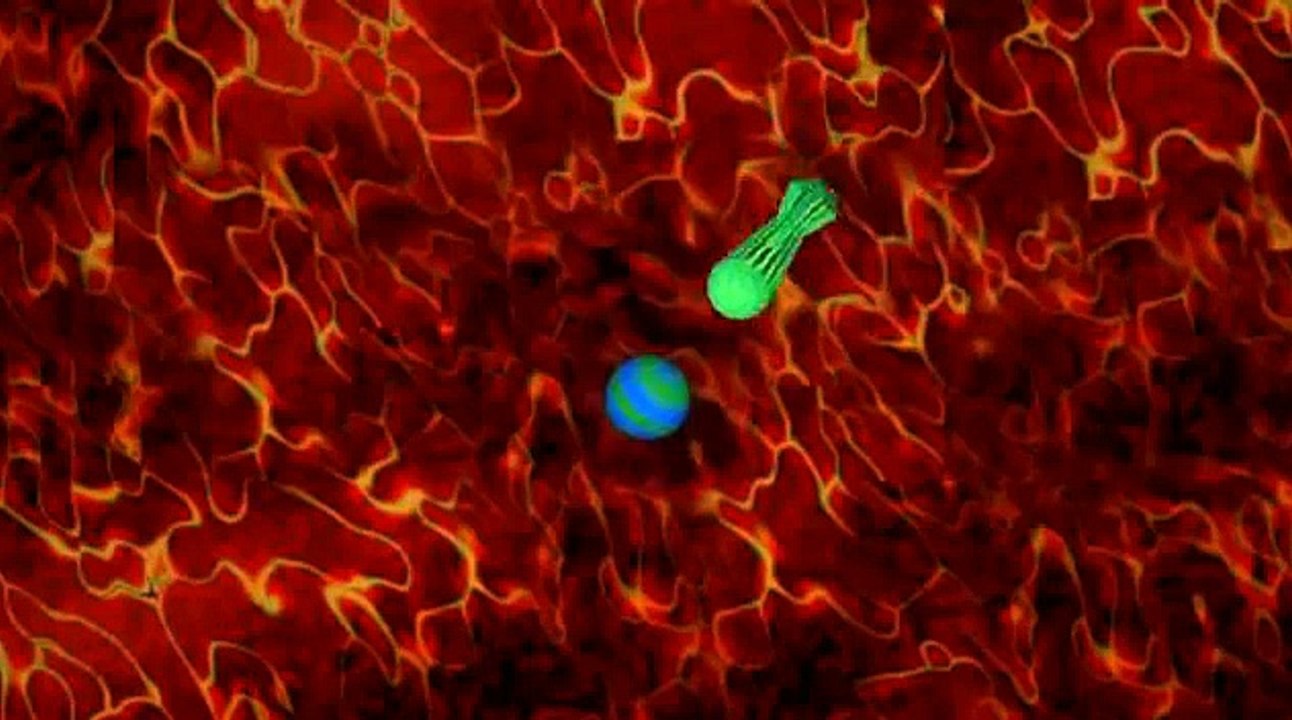 GIMP und Blender Cartoon Filter Animation