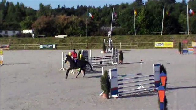 Butterfly CSO Sandillon 20150624