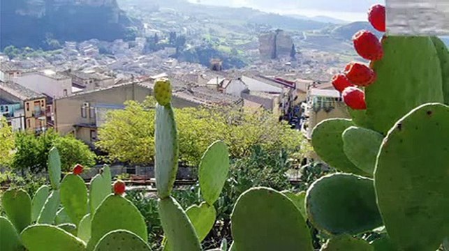 Sicilia Antica Marcella Bella