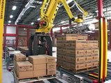 Robot with patented servo gripper palletizing 2 pallets