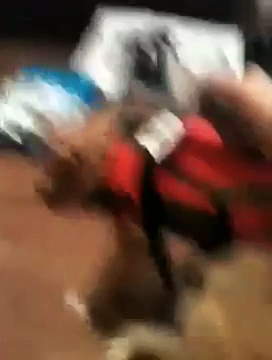 Cat vs Life jacket