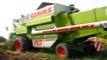 Żniwa 2012 Jęczmień/Barley Harvest 2012 I Claas Mega Dominator 203 I Ursus c360